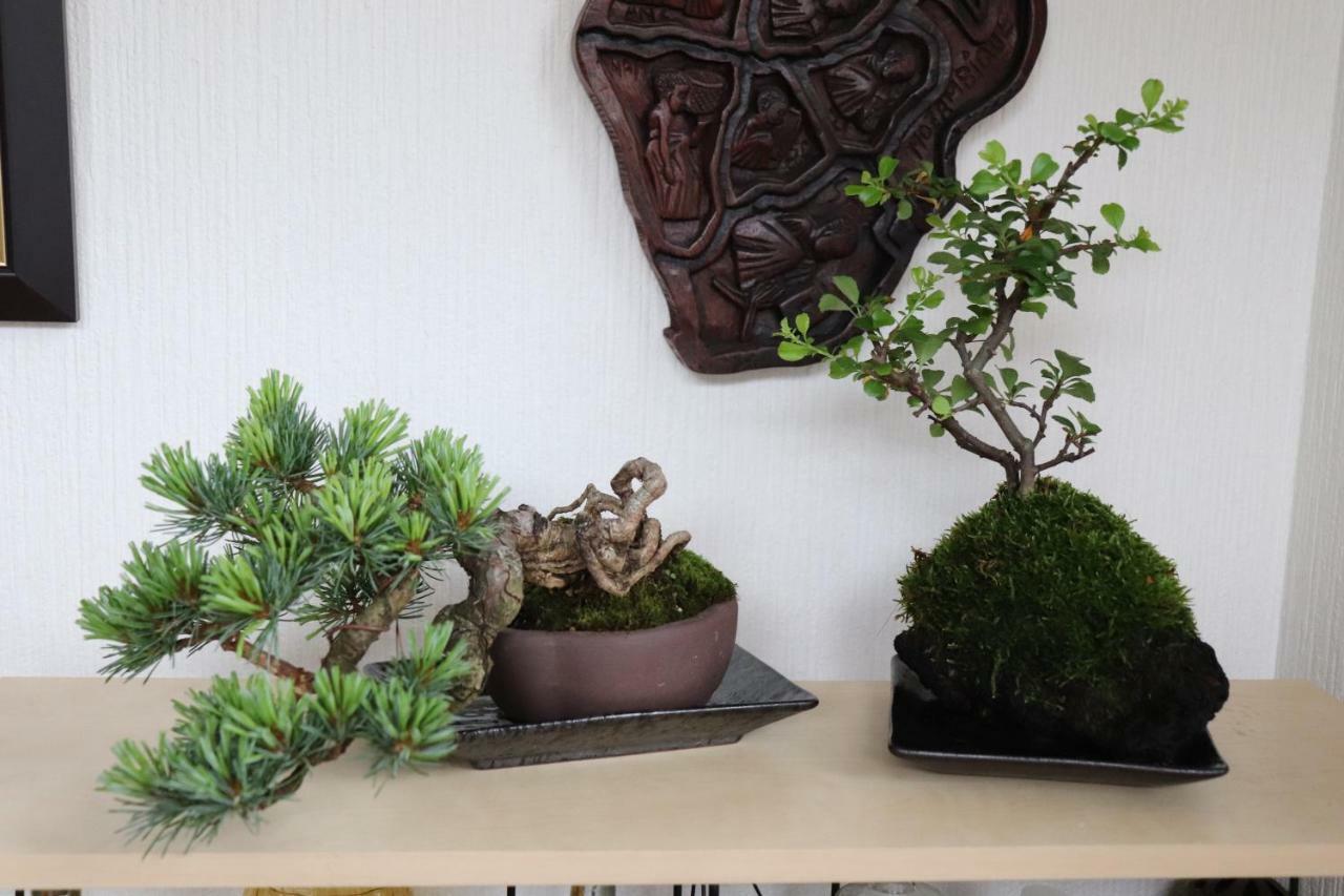 Guesthouse Oyado Iizaka 木曾町 外观 照片